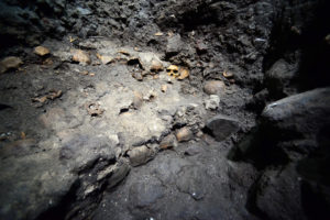 El hallazgo de los cráneos confirma las crónicas de conquistadores y frailes españoles acerca del gran Tzompantli de los mexicas. Los cráneos podrían ser de enemigos de los mexicas que eran capturados. Foto: INAH-CONACULTA