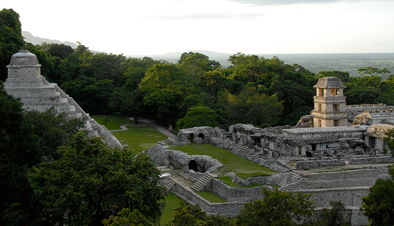 Zona arqueológica de Palenque. Foto Héctor Montaño | INAH.