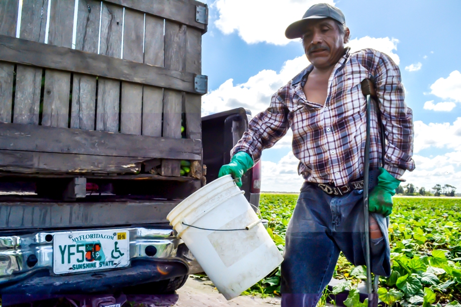 Para este campesino mexicano su discapacidad no ha sido una excusa ni un obstáculo para laborar en los campos de siembra de Florida. Foto: Guillermo González | Barriozona Magazine © 2016