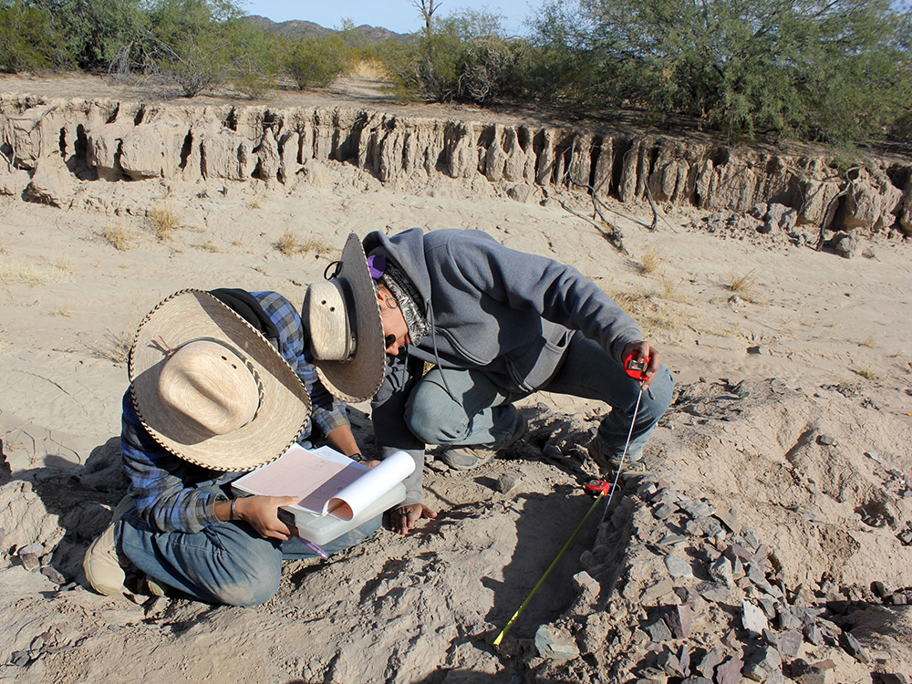 Arqueólogos llevando a cabo labores de excavación en la Playa, Sonora.