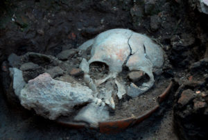 Este es el cráneo que fue encontrado por accidente en el sitio arqueológico de Tlatelolco. Es posible que este hallazgo lleve a un descubrimiento de mayor proporción. Foto: Melitón Tapia | INAH-CONACULTA