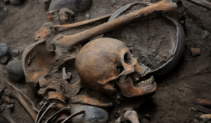 Un cráneo y otros restos óseos son parte de una decena de osamentas encontradas en una zona arqueológica en el sur de la Ciudad de México. Foto: Mauricio Marat | INAH