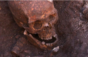 Los restos óseos encontrados en la iglesia de los Frailes Grises en el centro de la ciudad de Leicester son sin duda los del rey Ricardo III. Foto: Universidad de Leicester © Derechos Reservados