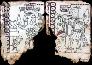 Expertos de México y Estados Unidos parecen haber comprobado la autenticidad del Códice Maya de México, estableciéndolo mediante diversos análisis y estudios como el manuscrito más antiguo de América. Foto: Martirene Alcántara | INAH