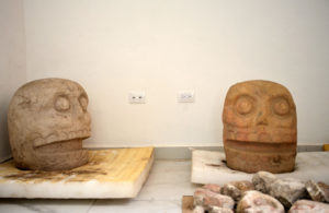 Cada uno de los dos cráneos de piedra encontrados asociados con Xipe Tótec mide aproximadamente 70 centímetros de alto y pesa alrededor de 200 kilogramos. Foto: Héctor Montaño | INAH