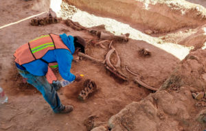Múltiples esqueletos de mamuts colombinos fueron encontrados en el sitio del futuro Aeropuerto Internacional General Felipe Ángeles, en el poblado de Santa Lucía, Zumpango, en el Estado de México, México. Foto: INAH